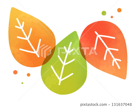 A set of transparent orange, green and red autumn leaves A set of transparent orange, green and red autumn leaves 131637048