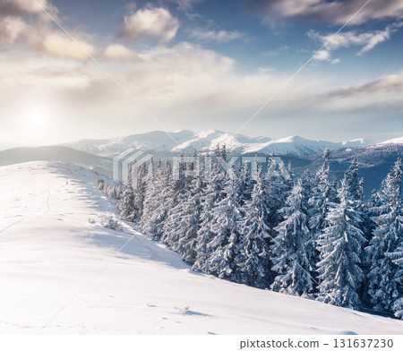 Majestic winter landscape Majestic winter landscape 131637230