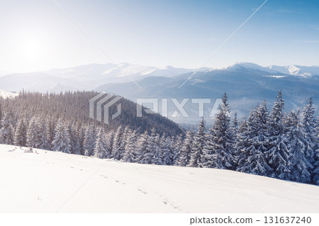 Majestic winter landscape 131637240