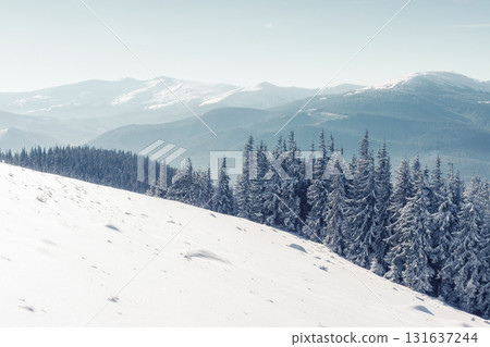 Majestic winter landscape 131637244
