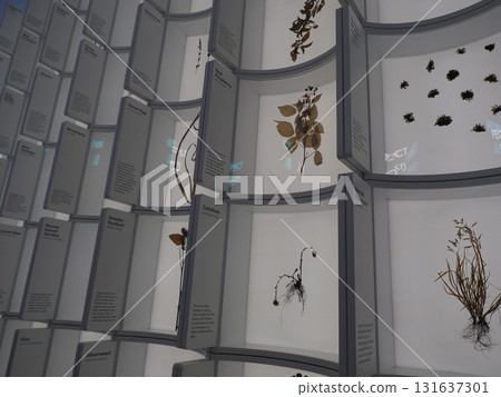 Osaka Kansai Expo 2025 Baltic States Pavilion 131637301