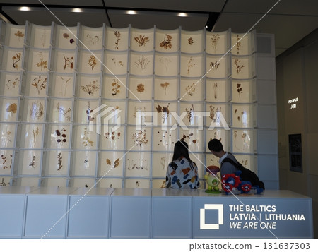 2025年大阪關西世博會波羅的海國家館 131637303