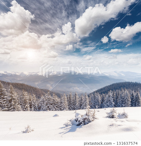 Majestic winter landscape Majestic winter landscape 131637574