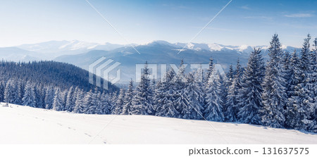 Majestic winter landscape 131637575