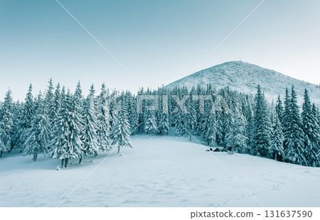 Dramatic wintry scene Dramatic wintry scene 131637590