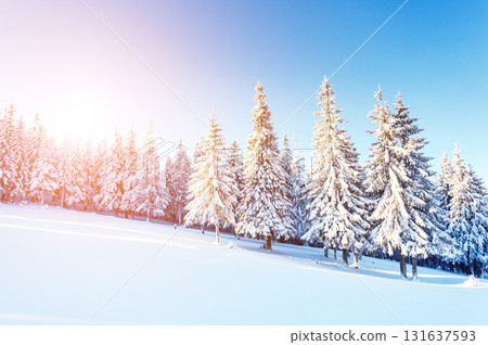 Dramatic wintry scene Dramatic wintry scene 131637593