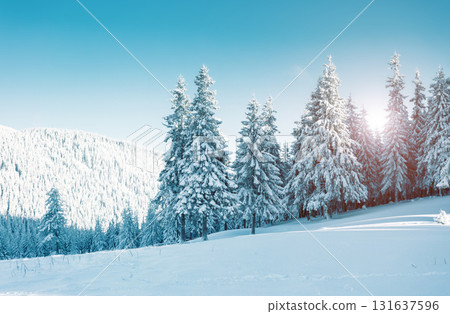 Dramatic wintry scene Dramatic wintry scene 131637596