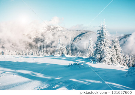beautiful wintry landscape beautiful wintry landscape 131637600