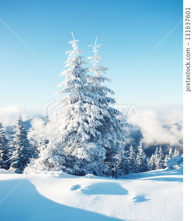 beautiful wintry landscape beautiful wintry landscape 131637601
