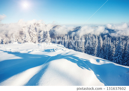 beautiful wintry landscape 131637602