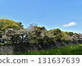 [Aichi Prefecture] Nagoya Castle Stone Wall 131637639