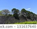 [Aichi Prefecture] Nagoya Castle Stone Wall 131637640