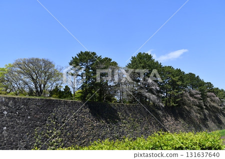 [Aichi Prefecture] Nagoya Castle Stone Wall 131637640