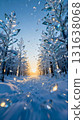 Frozen trees of glass shattered into scattered fragments 131638068