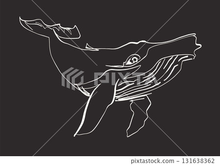 Whale line art vector illustration on dark background Whale line art vector illustration on dark background 131638362