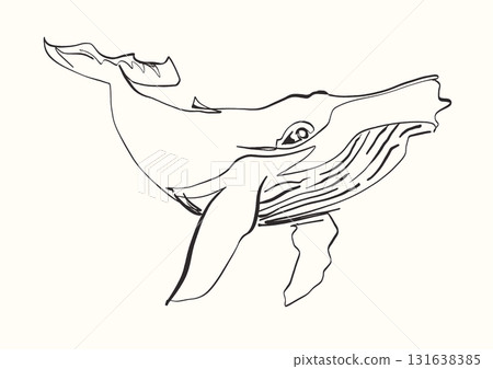 Minimalist whale line art vector illustration Minimalist whale line art vector illustration 131638385