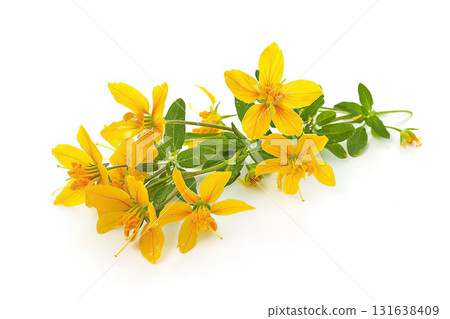 St john's wort flowers isolated on white background. AI-generated item 131638409