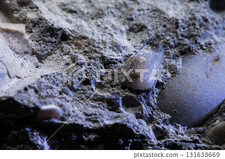 Stone with natural cracks. 131638669