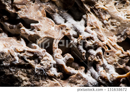 The stone shows multilayers 131638672