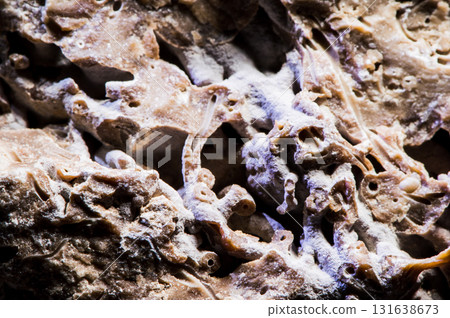 The stone shows multilayers 131638673