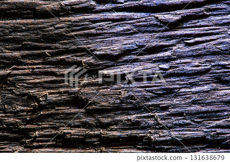 The wood texture looks dense and multilayered in macro photography 131638679