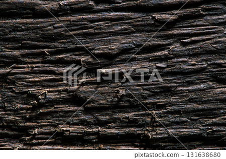 The wood texture looks dense and multilayered in macro photography 131638680
