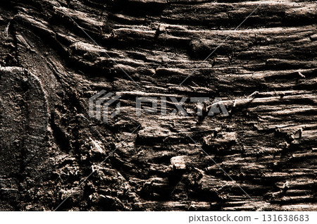 The macro photo shows the wood grain in deep brown and almost black tones The macro photo shows the wood grain in deep brown and almost black tones 131638683