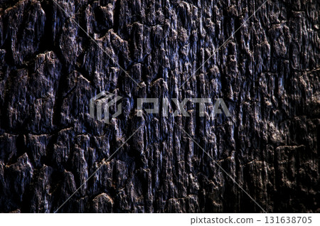 The structure of the wood has a wavy shape that changes depending on the direction of the grains 131638705