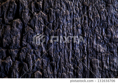 The structure of the wood has a wavy shape that changes depending on the direction of the grains The structure of the wood has a wavy shape that changes depending on the direction of the grains 131638706