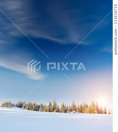 Amazing winter in the mountains 131638719