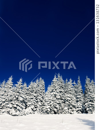 Amazing winter in the mountains Amazing winter in the mountains 131638732