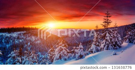 Amazing winter landscape Amazing winter landscape 131638776