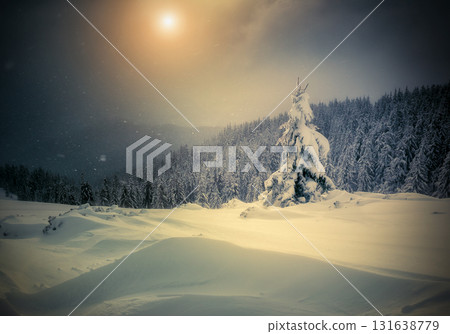 Amazing winter landscape 131638779