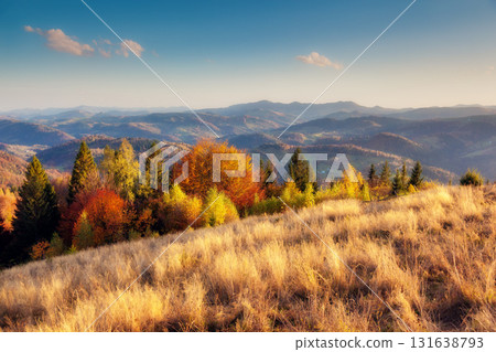 beautiful autumn day beautiful autumn day 131638793