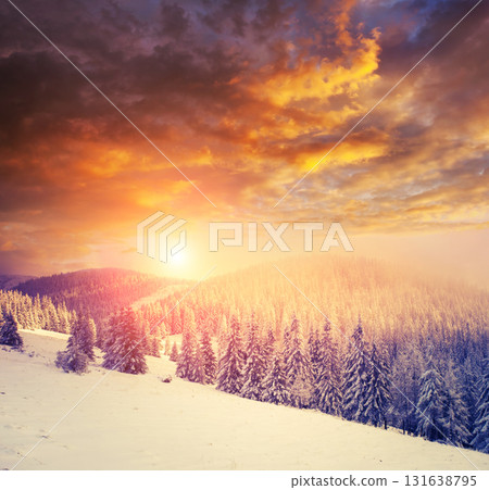 Beautiful winter landscape Beautiful winter landscape 131638795