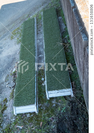 artificial turf, astroturf, agriculture 131638806