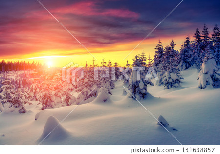 Amazing winter landscape 131638857