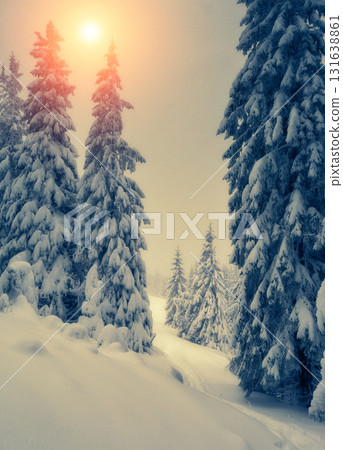 Amazing winter landscape Amazing winter landscape 131638861
