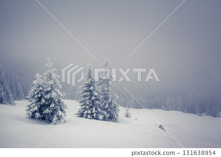 Amazing winter landscape Amazing winter landscape 131638954