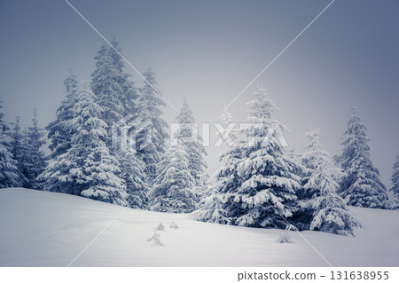 Amazing winter landscape Amazing winter landscape 131638955