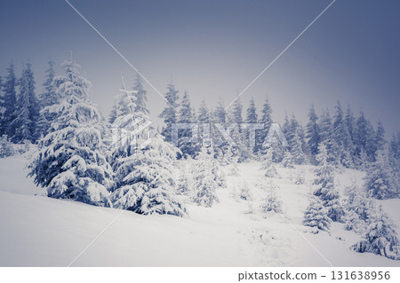Amazing winter landscape 131638956