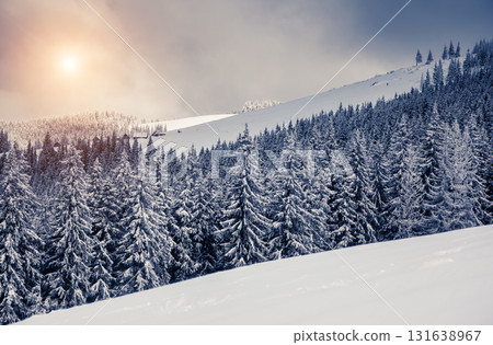 Amazing winter landscape 131638967
