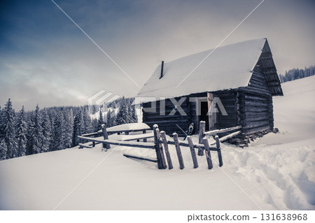Amazing winter landscape Amazing winter landscape 131638968