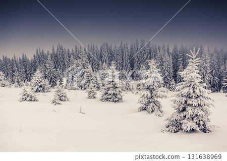 Amazing winter landscape Amazing winter landscape 131638969