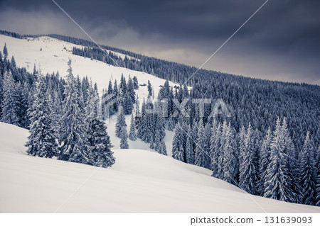 Amazing winter landscape 131639093