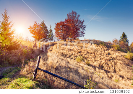 beautiful autumn day 131639102