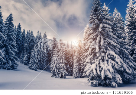 Amazing winter landscape Amazing winter landscape 131639106