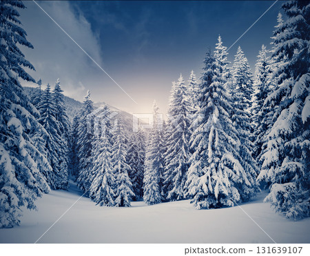 Amazing winter landscape Amazing winter landscape 131639107
