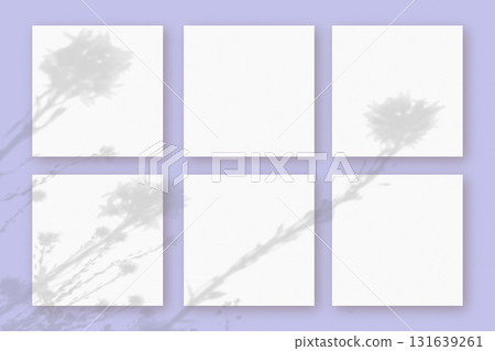 Natural light casts shadows from the wildflowers on 6 square sheets of white paper lying on a violet background. Mockup 131639261