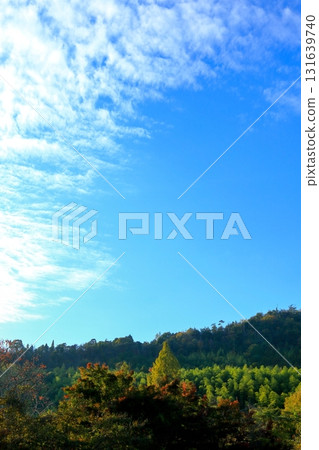 Autumn in Aki Province Autumn in Aki Province 131639740